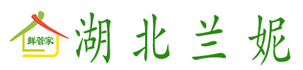 pg电子游戏